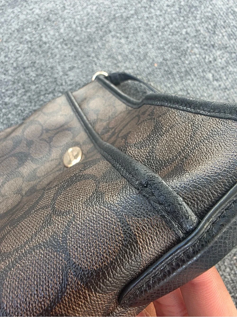 Coach Brown/Black Signature Crossbody Bag